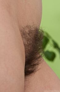 Bushy Pubes Milf Pussy Close Up Pic